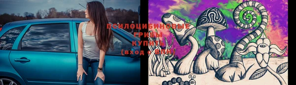 твердый Богородск