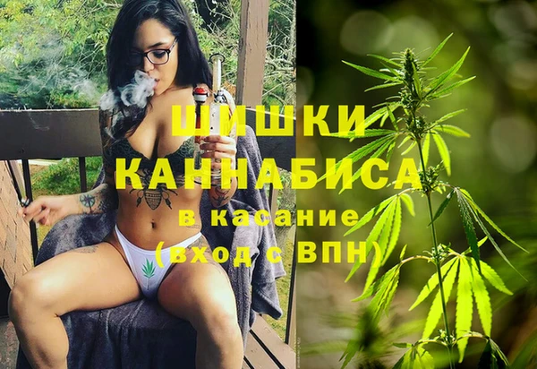 твердый Богородск