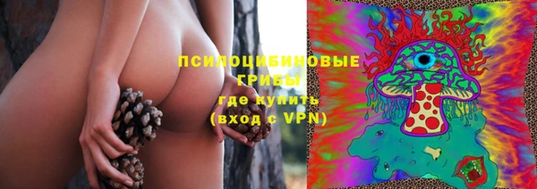 тгк Богородицк