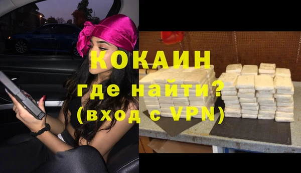 твердый Богородск